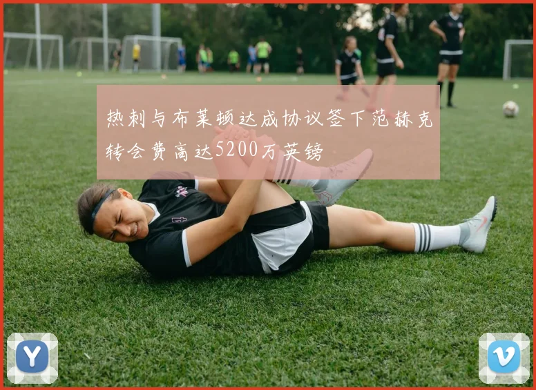 热刺与布莱顿达成协议签下范赫克转会费高达5200万英镑