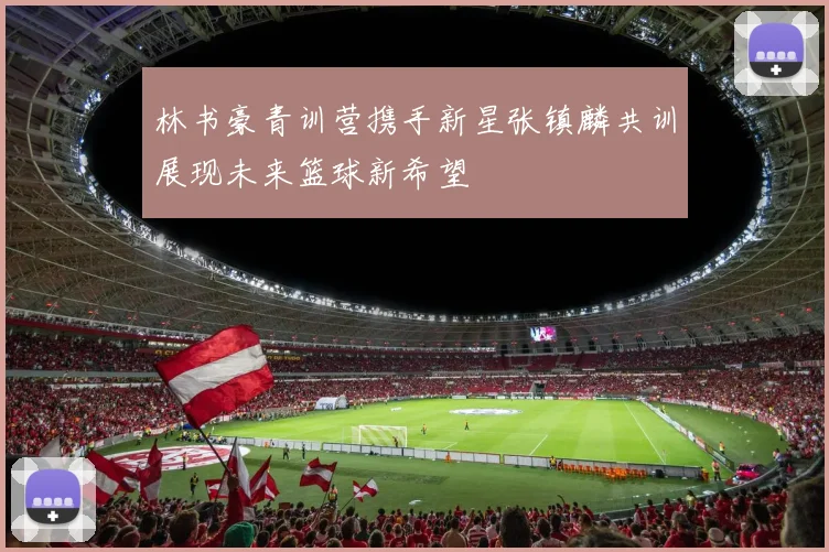 林书豪青训营携手新星张镇麟共训展现未来篮球新希望